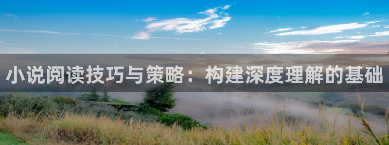 潇湘书院网页版：小说阅读技巧与策略：构建深度理解的基础